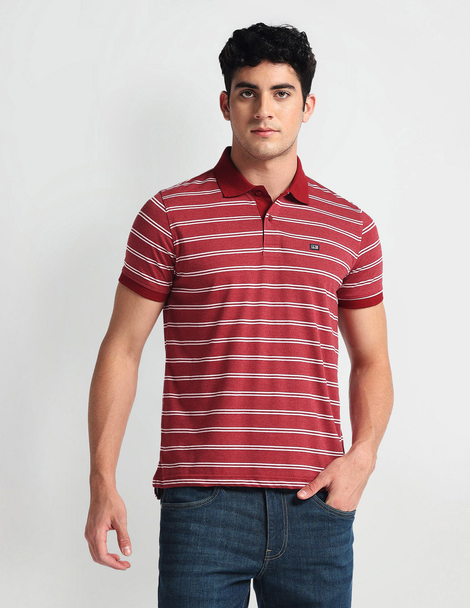 Arrow Sports Horizontal Stripe Cotton Polo Shirt