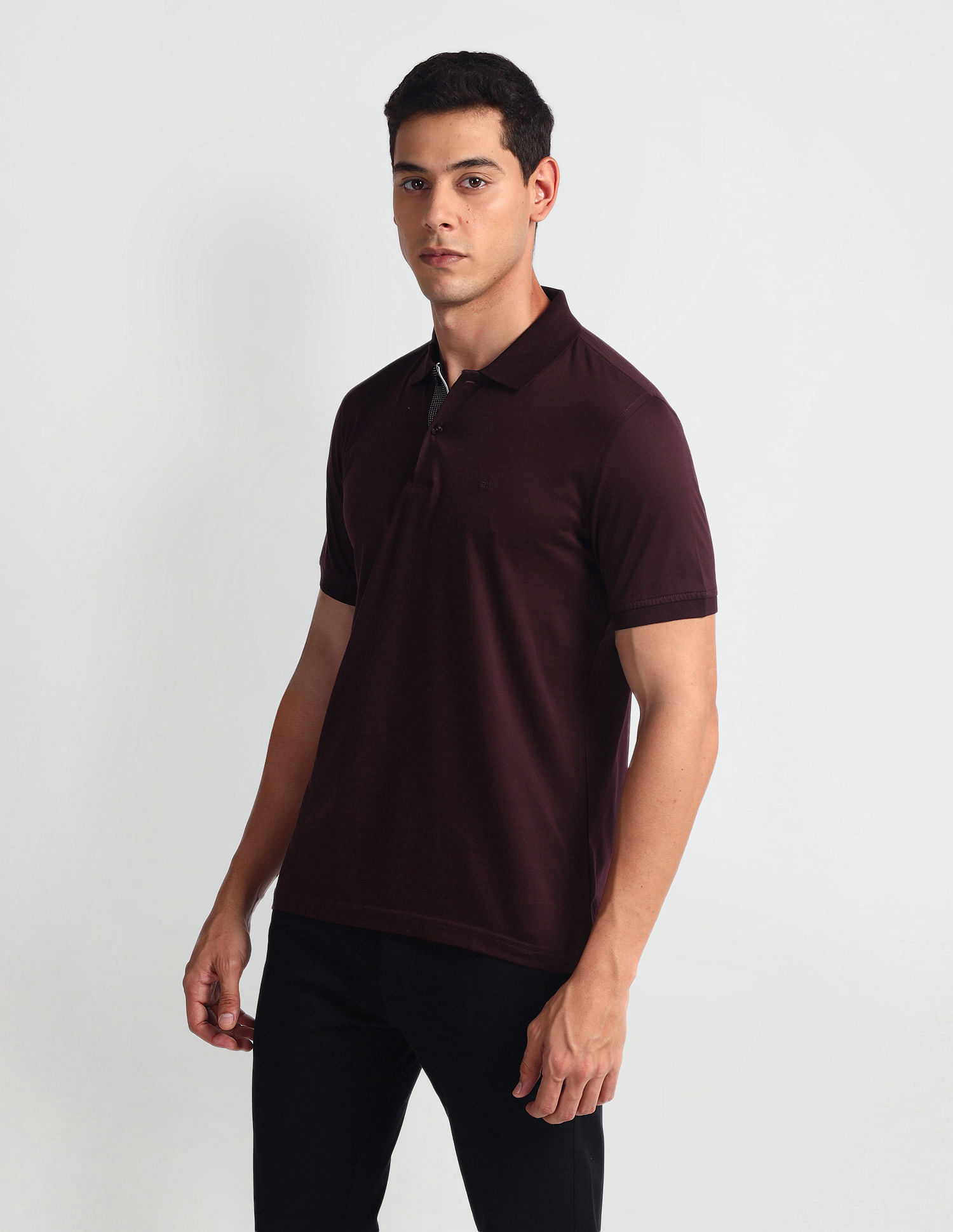 Arrow Solid Cotton Polo Shirt