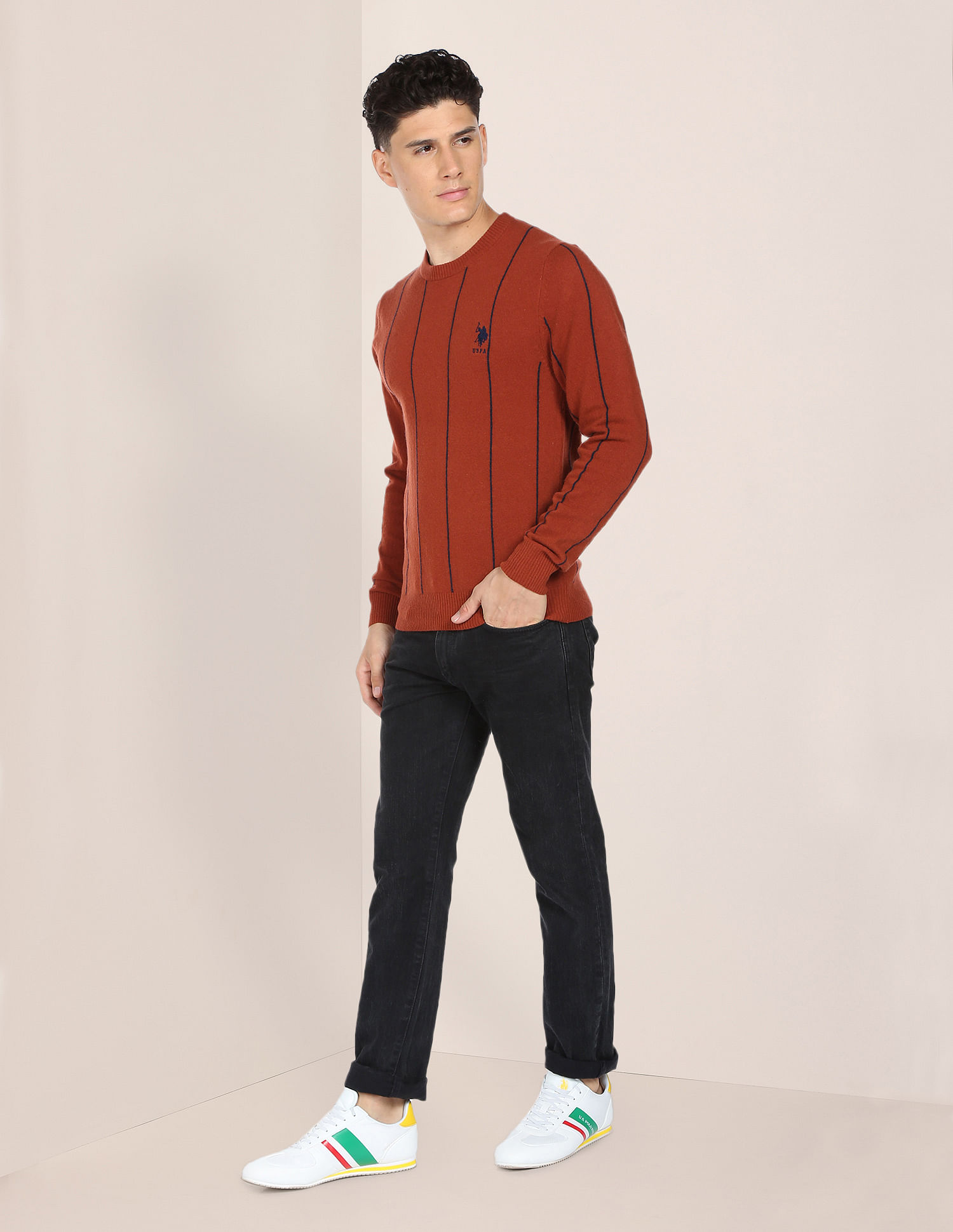U.S. Polo Assn. Crew Neck Vertical Stripe Sweater