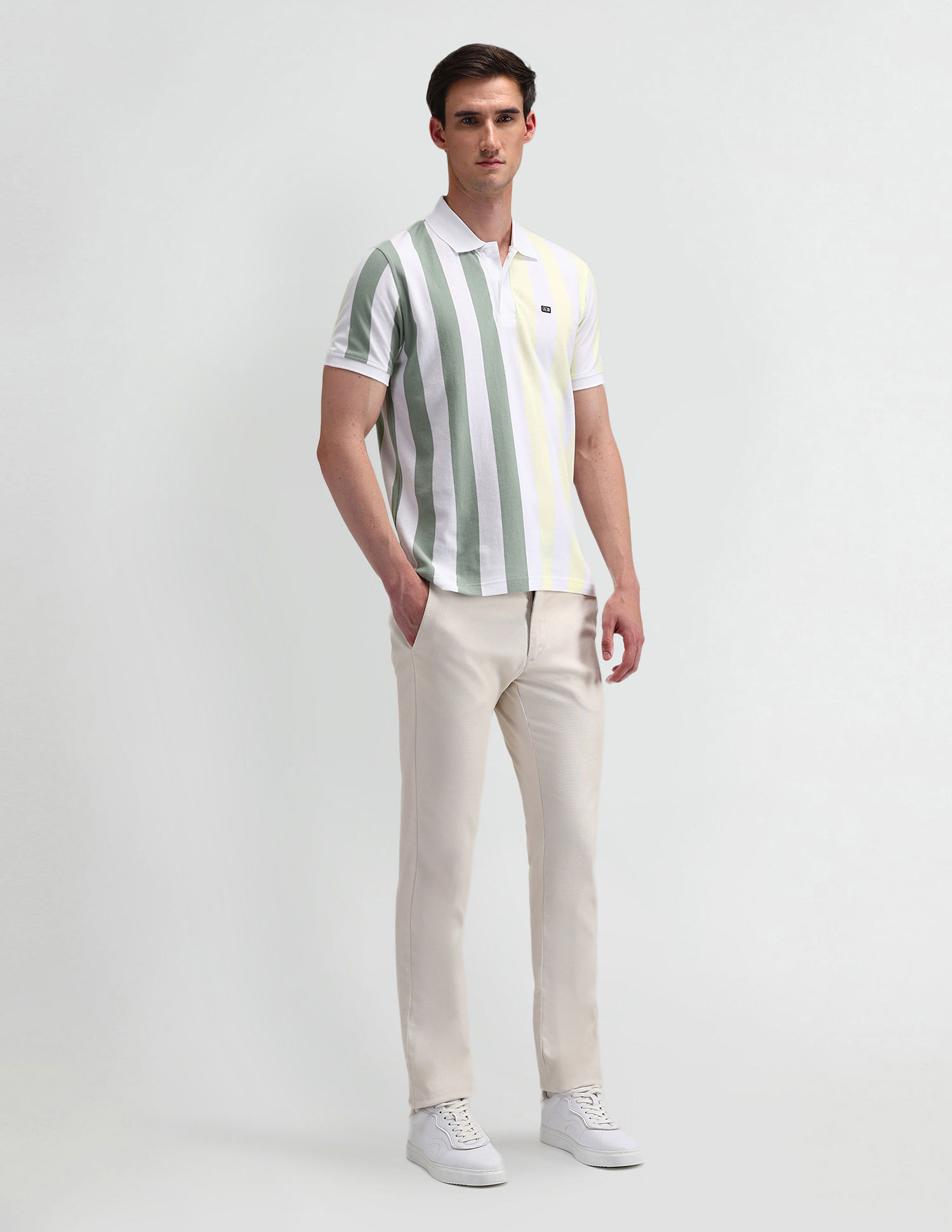 Arrow Sport Vertical Striped Regular Polo Shirt