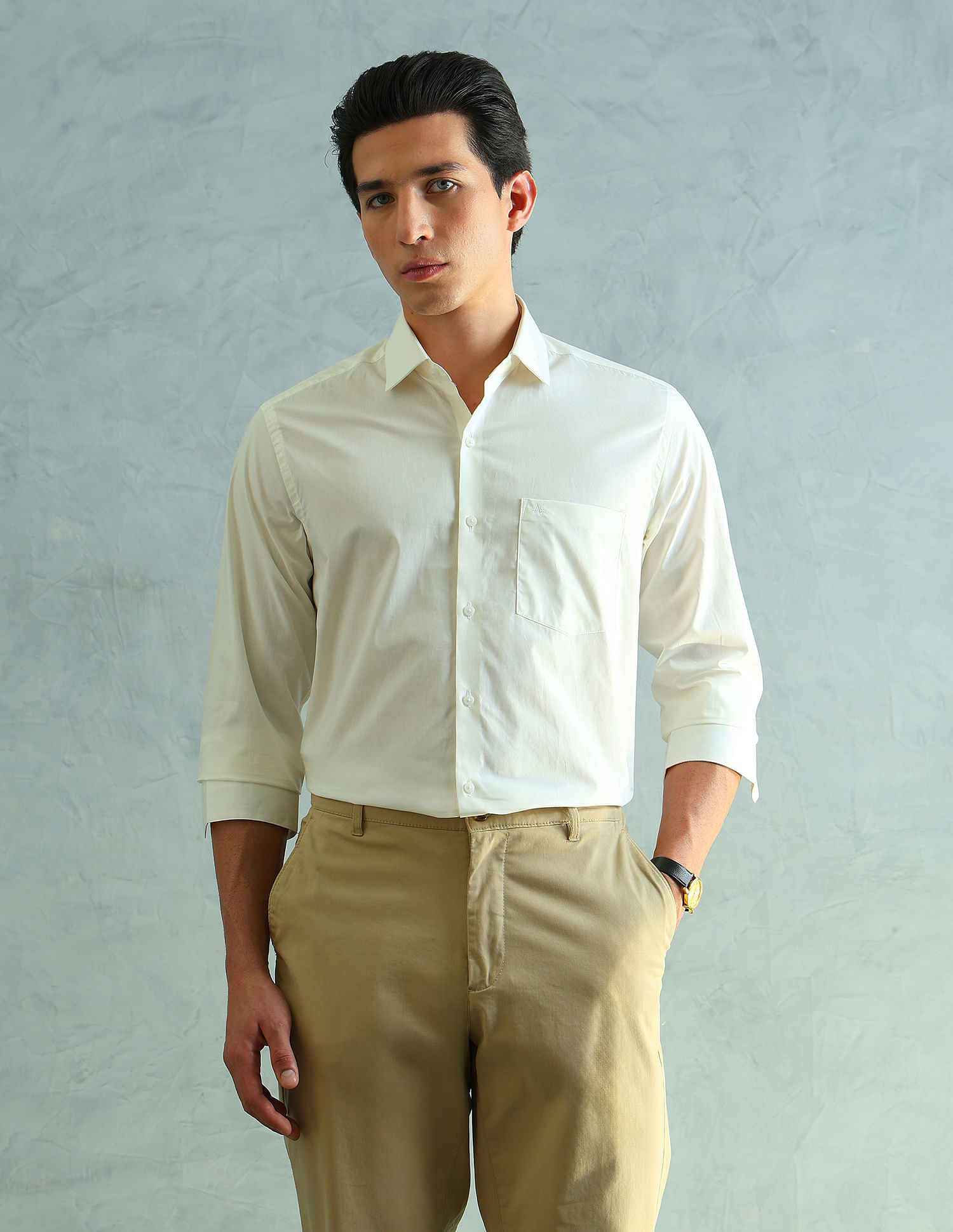 Arrow Slim Fit Smart Formal Shirt