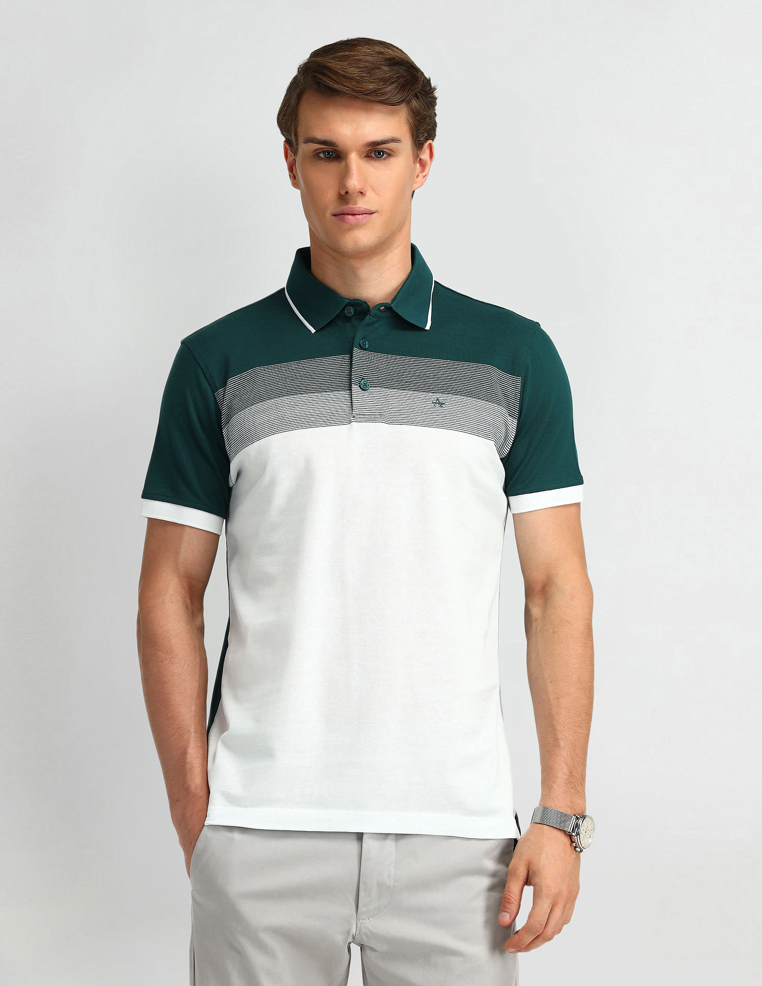 Arrow Colour Blocked Regular Polo Shirt