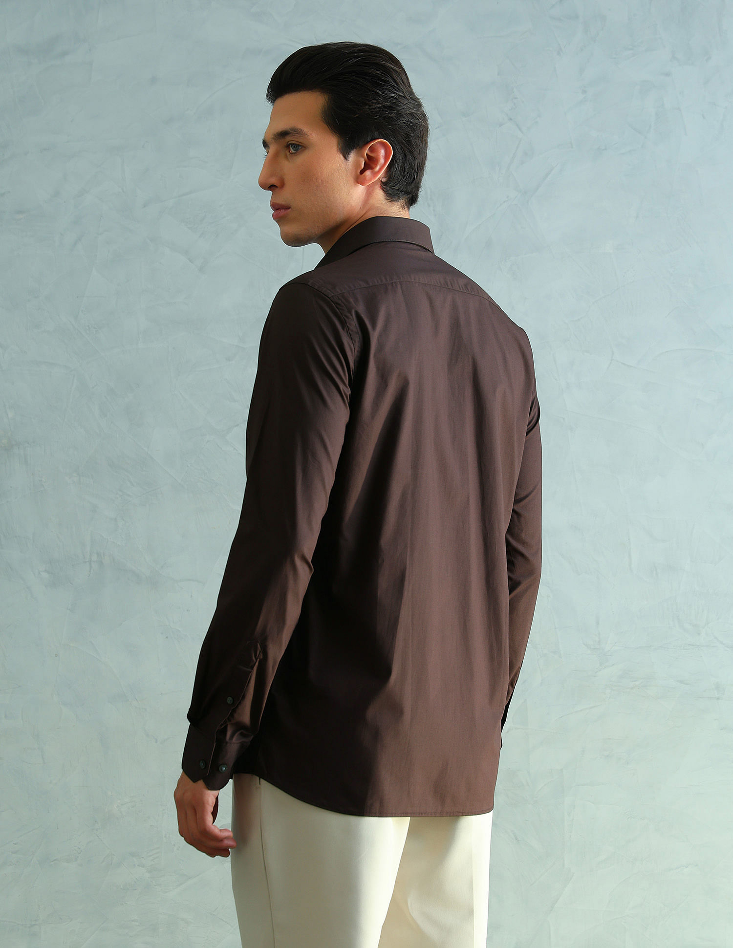 Arrow Slim Fit Smart Formal Shirt