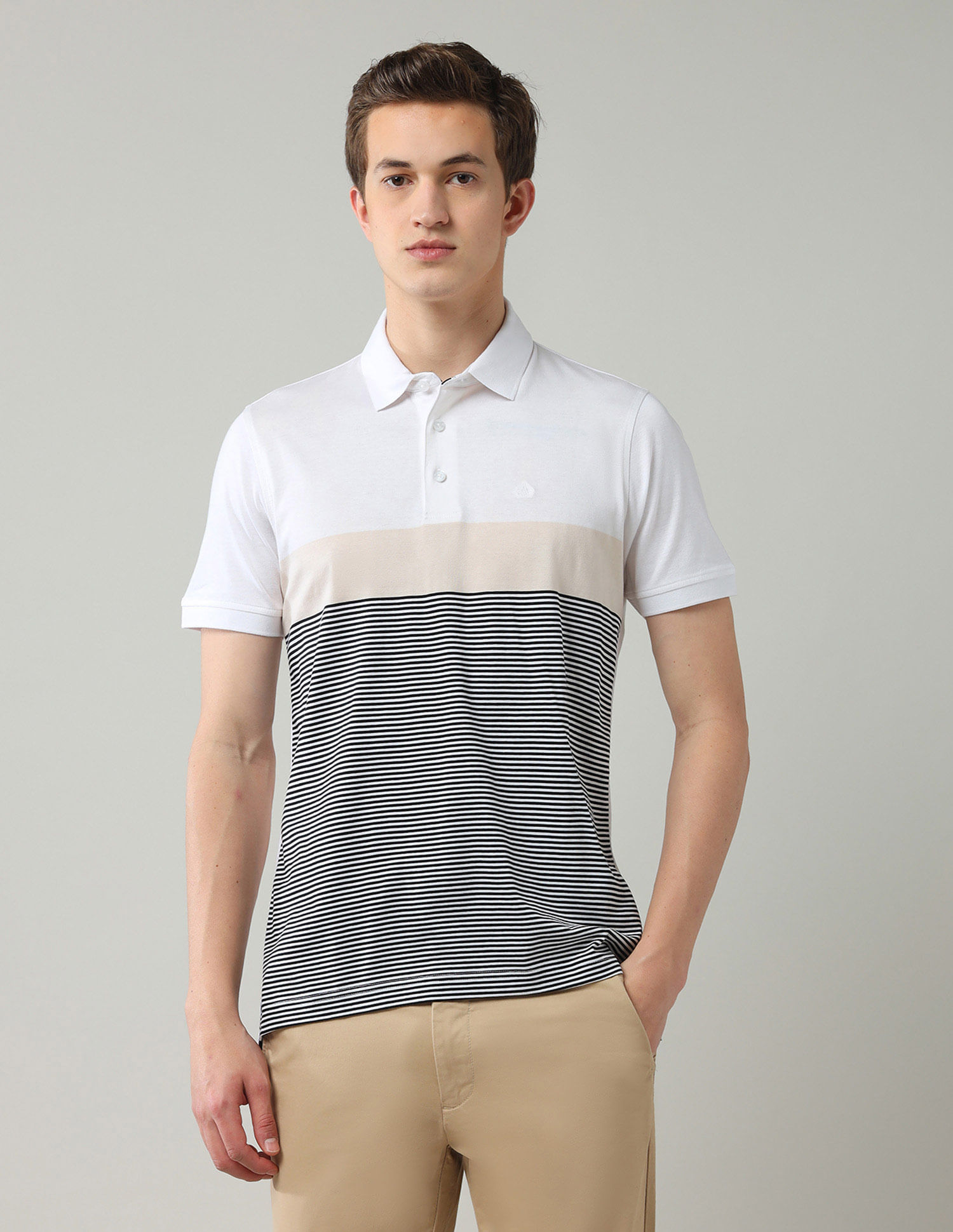 Arrow Horizontal Striped Regular Fit Polo Shirt
