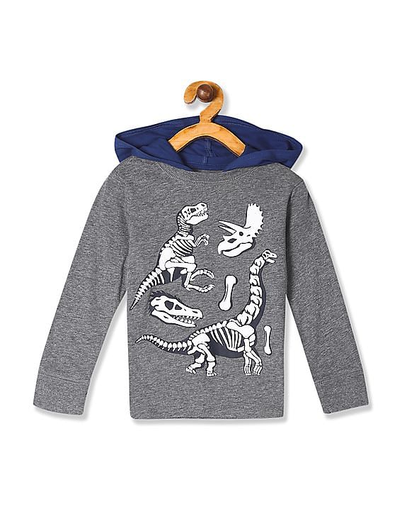 The Children's Place Boys' Toddler Graphic Hoodie Top 