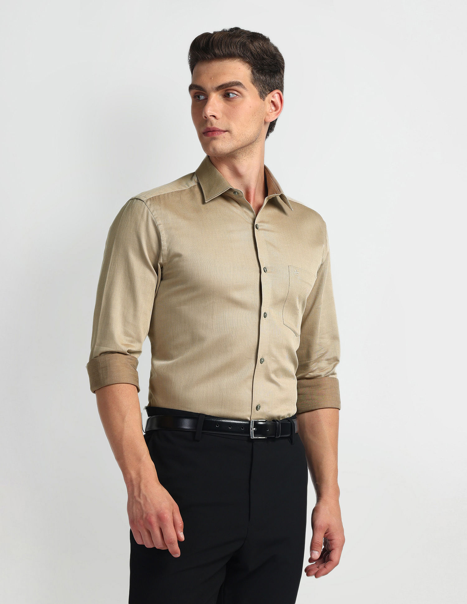 Arrow Solid Dobby Regular Fit Shirt