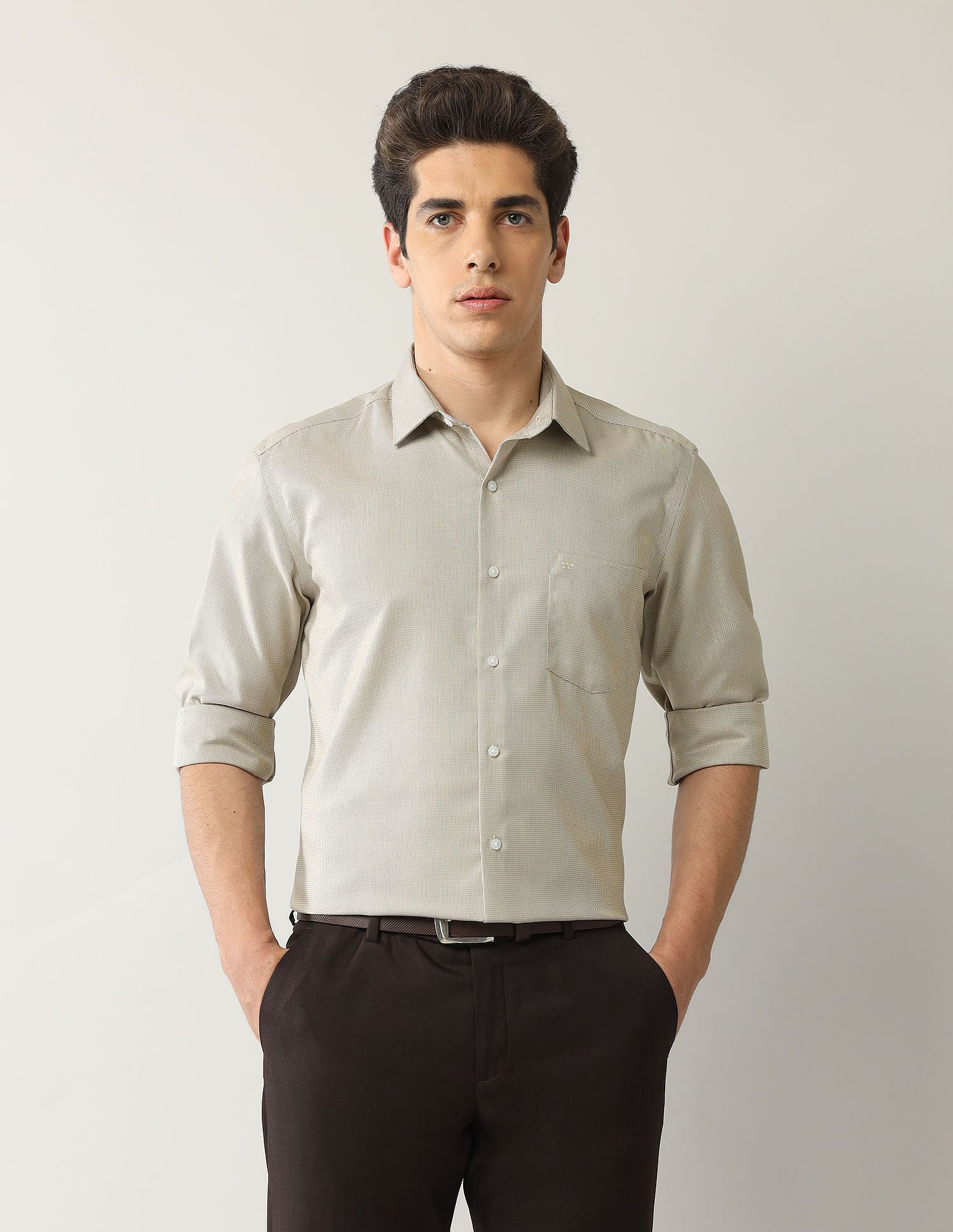 Arrow Textured Manhattan Slim Fit Autopress Shirt