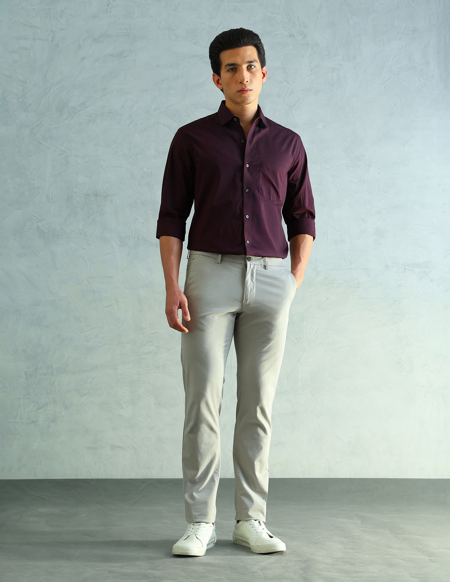 Arrow Slim Fit Smart Formal Shirt