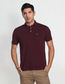 Arrow Sports Compact Cotton Solid Polo Shirt