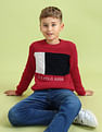 U.S. Polo Assn. Kids Boys Printed Regular Fit Sweater