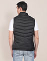 U.S. Polo Assn. High Neck Sleeveless Quilted Jacket