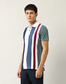Arrow Sport Vertical Striped Regular Fit Polo Shirt
