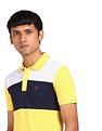 AD by Arvind Cotton Colour Block Polo Shirt
