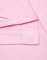 Tommy Hilfiger Solid Regular-Fit Cotton Shirt